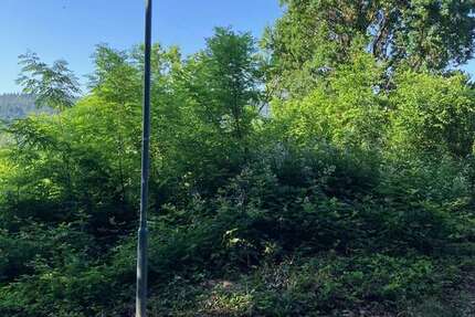 Grundstück Gernsbach - 220.000&euro; | Angebot:26794343