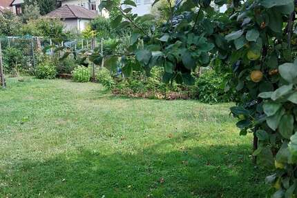 Grundstück zu verkaufen in Rastatt 390.000 € 715 m² zimmer