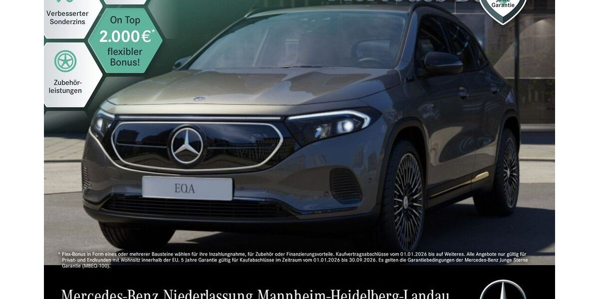 Mercedes-Benz EQA 56.043 km 31.890 &euro; Landau 76829