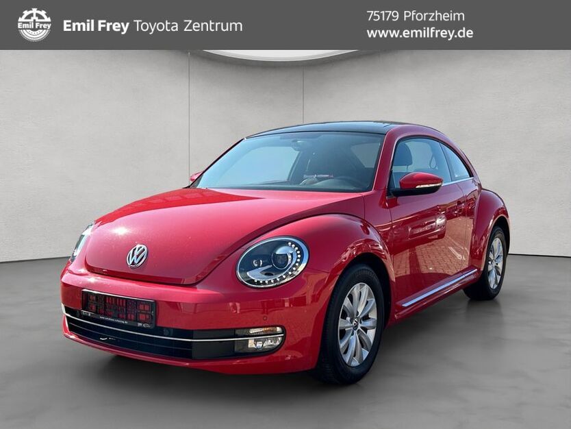 Beetle
