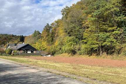 Grundstück zu verkaufen in Landau 78.000 € 606 m² zimmer