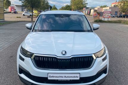 Skoda Kodiaq 220.000 km 17.900 &euro; Bruchsal 76646