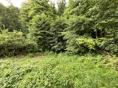 2380 QM WOHNEN AM BACH UND WALD ZUM ENTSPANNEN