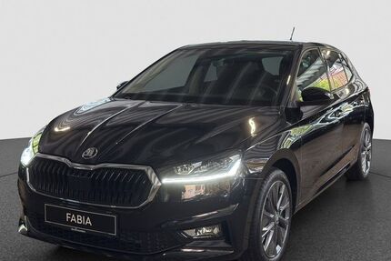 Skoda Fabia 4.500 km 21.790 &euro; Karlsruhe 76131