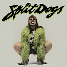 SPLIT DOGS 04.11.2026 Alte Hackerei