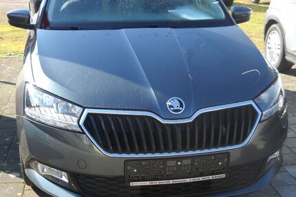 Skoda Fabia 81.500 km 12.900 &euro; Steinweiler 76872