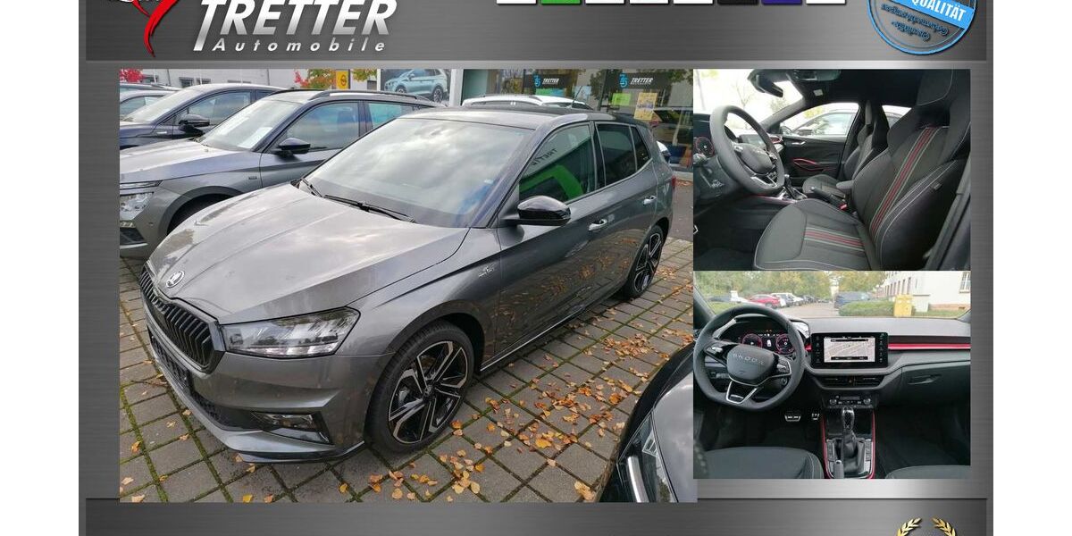 Skoda Fabia 4.500 km 26.290 € Kandel 76870