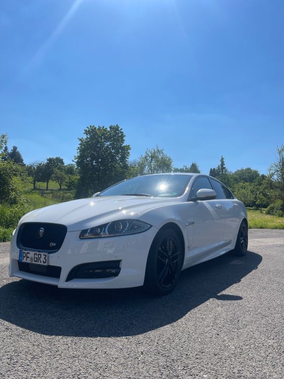 XF