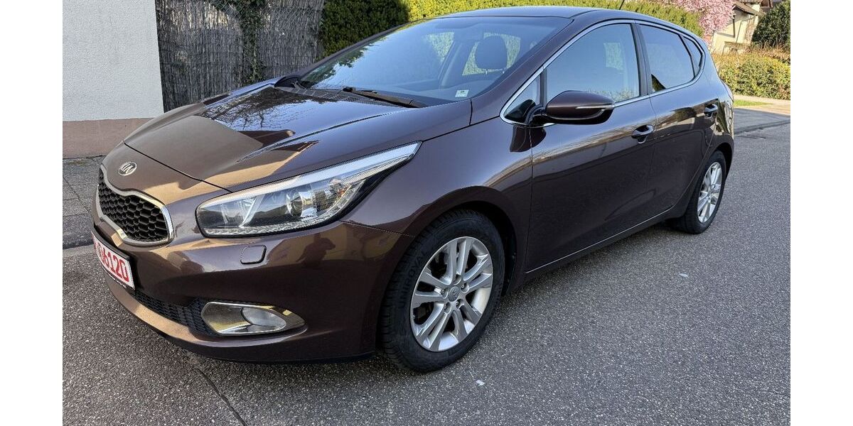 Kia Andere 290.000 km 5.500 &euro; Graben Neudorf 76676