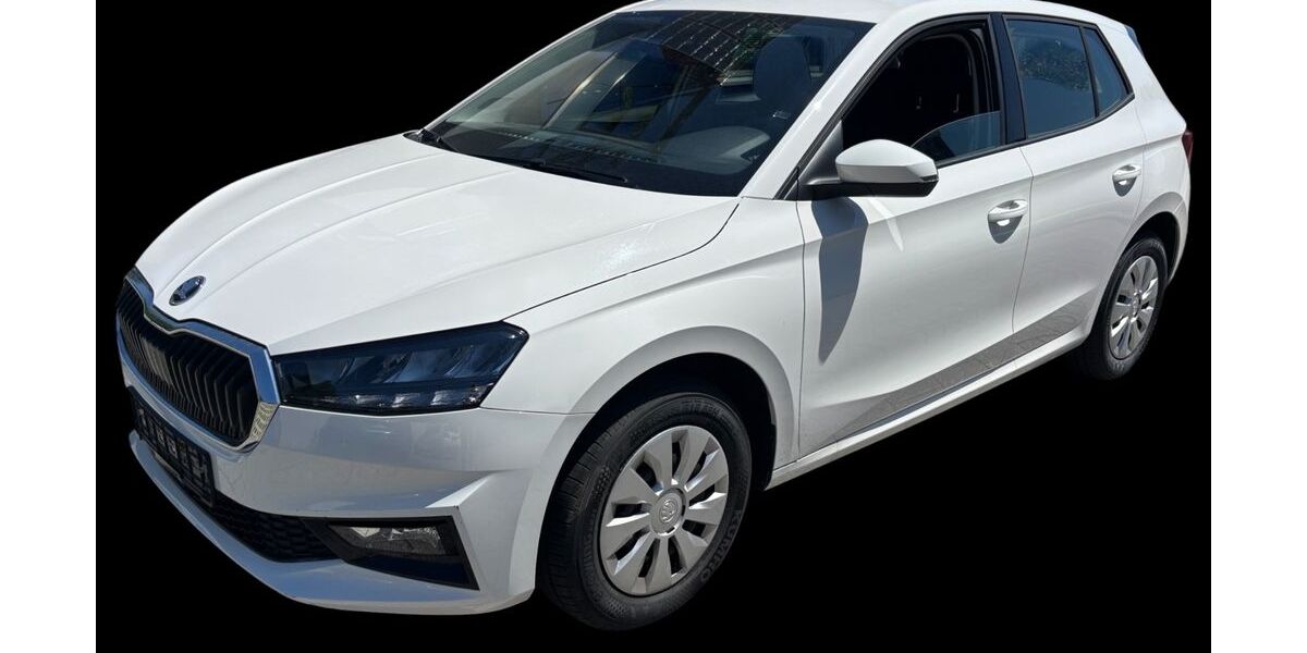 Skoda Fabia 1.275 km 16.900 &euro; Stutensee 76297