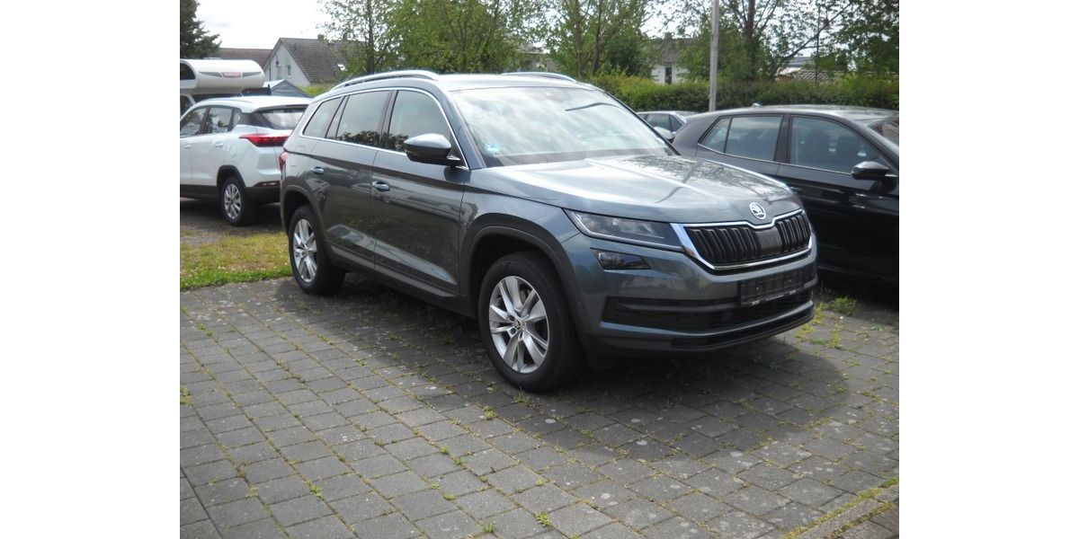 Skoda Kodiaq 167.000 km 18.900 &euro; Steinweiler 76872