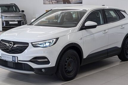 Opel Grandland (X) 81.700 km 19.690 &euro; Landau 76829