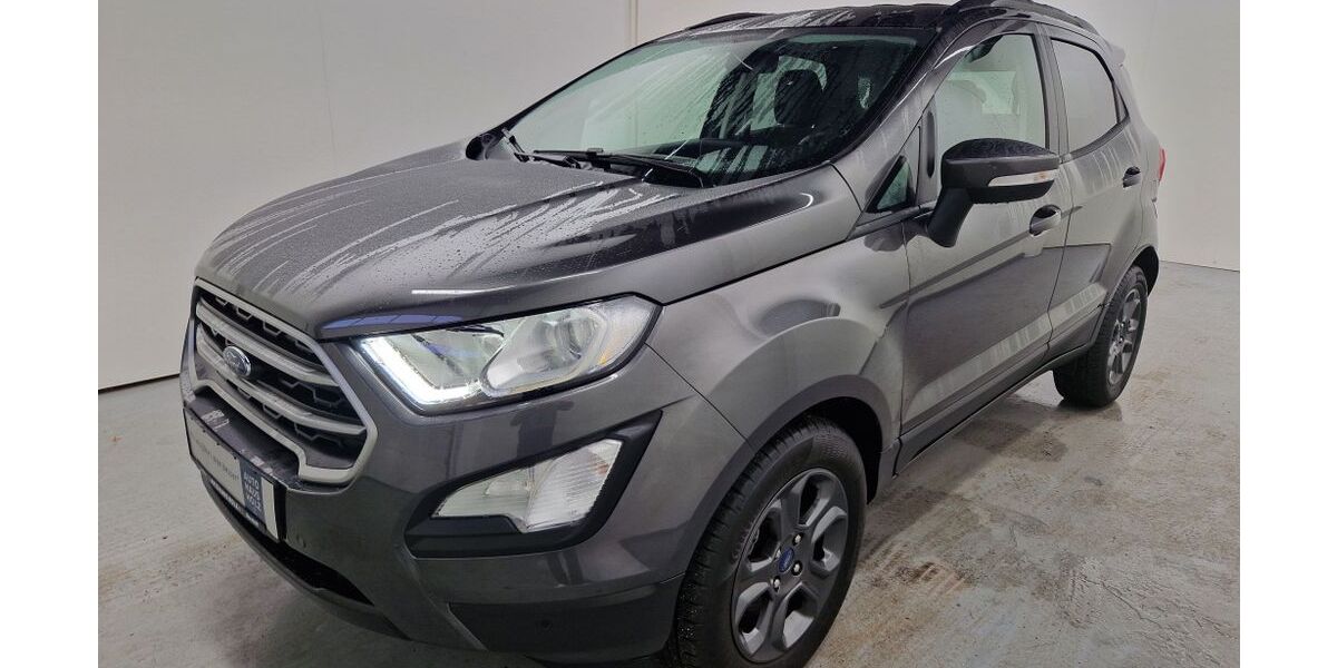 Ford EcoSport 39.438 km 14.450 &euro; Landau 76829