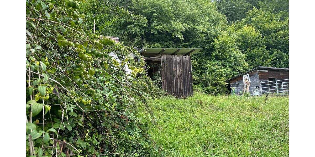 Traumgrundstück mit kleinem Wohn- und Wochenendhaus zimmer