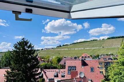 Wohnung zum Mieten in Würzburg 1.412,50 € 113 m²