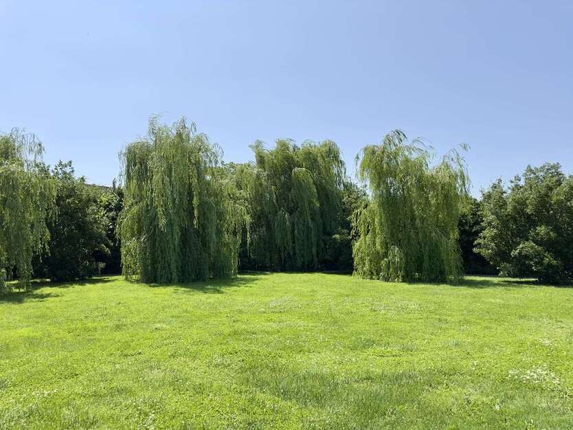 Haus zum Kaufen in Baden-Baden 3.690.000 € 430 m²