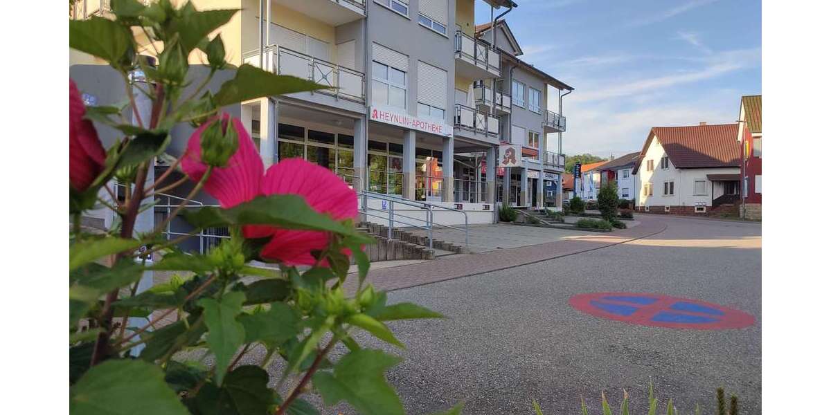 Gewerbeobjekt Königsbach-Stein Stein - 360.000&euro; | Angebot:19516706