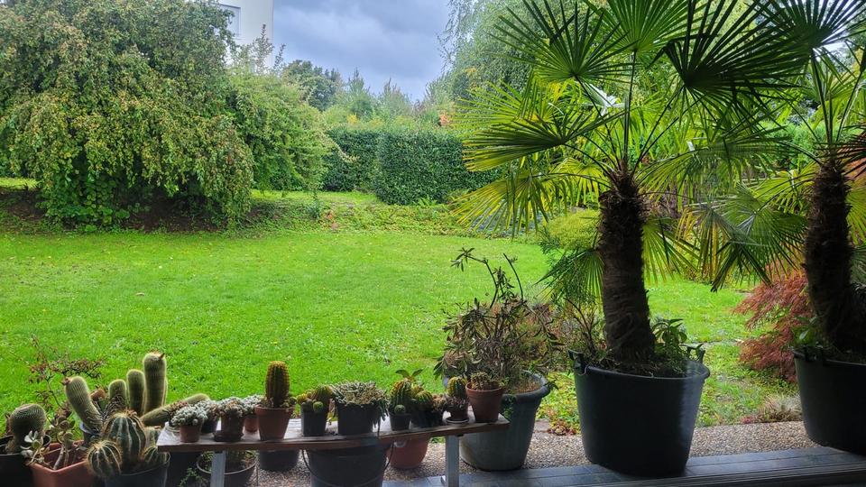Bungalow Karlsruhe Wettersbach - 4 Zimmer, 168 m&sup2;, 650.000&euro; | Angebot:26400268