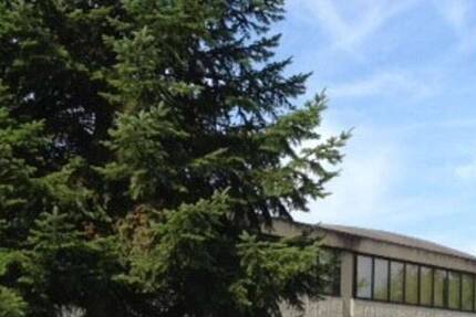 Gewerbeobjekt Eggenstein - 1.155&euro; | Angebot:23982131