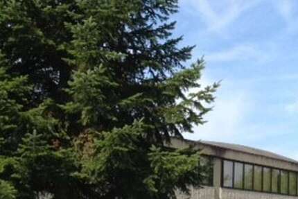 Büro in Eggenstein 1.155 € 165 m² zimmer