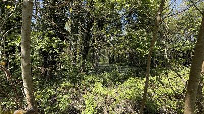 IHR GANZ PRIVATES STÜCK NATUR - Grundstück Kuppenheim | Angebot:27159833