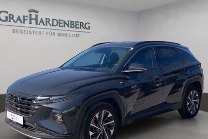 Hyundai TUCSON 166.693 km 18.490 &euro; Landau 76829