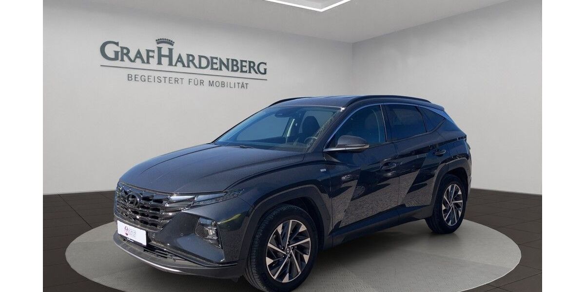 Hyundai TUCSON 166.693 km 18.490 &euro; Landau 76829