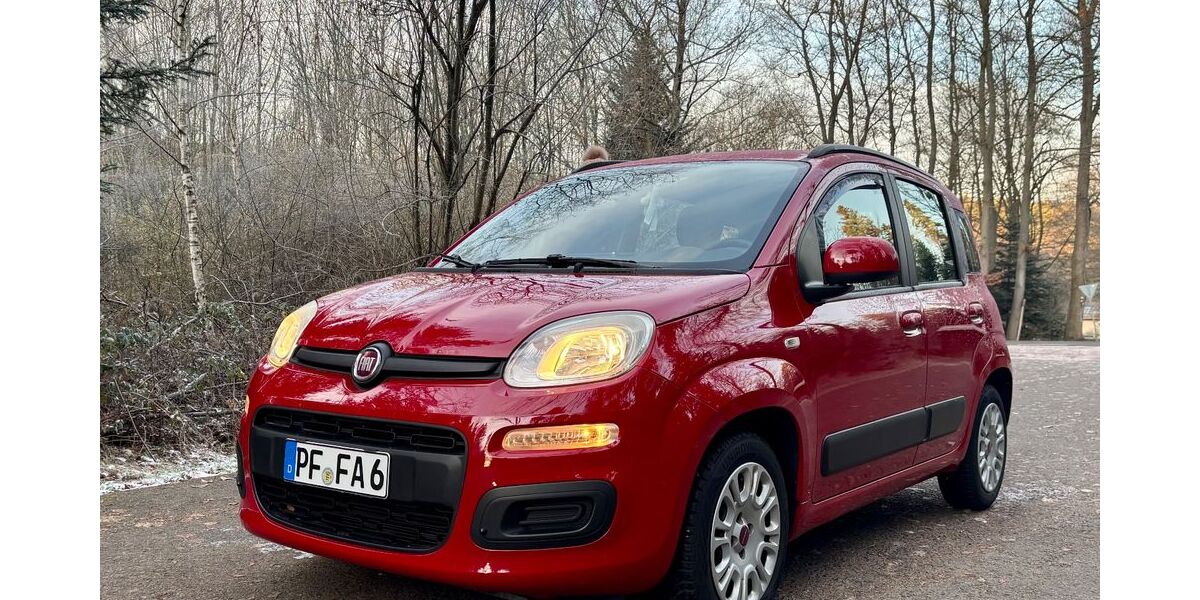 Fiat Panda 25.000 km 7.400 € Pforzheim 75180