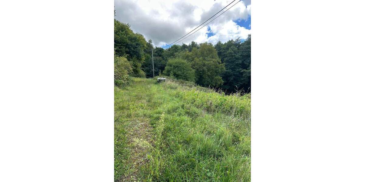 Traumgrundstück zimmer