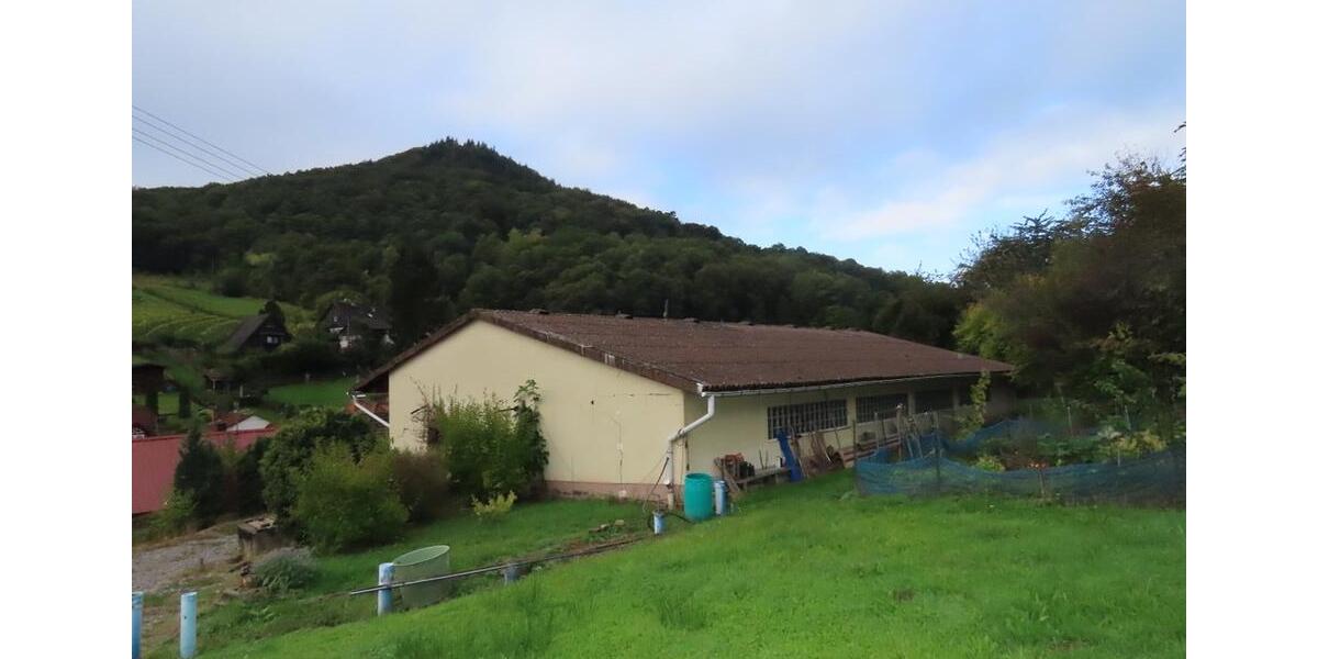 Mehrfamilienhaus, Wohnhaus Landau in der Pfalz - 550.000&euro; | Angebot:26346307