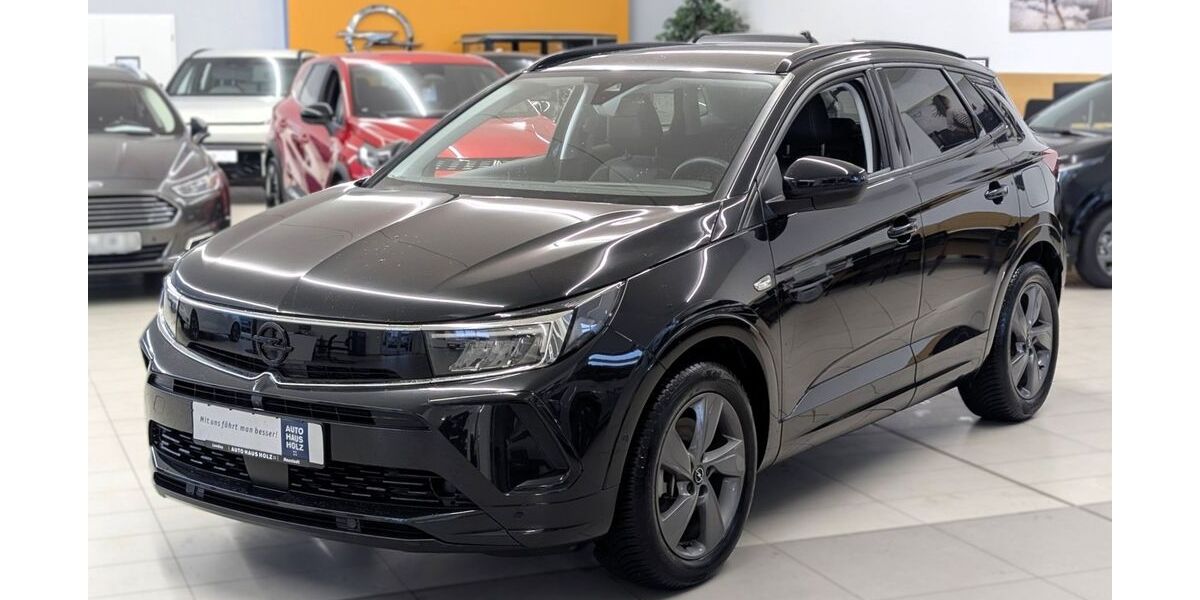 Opel Grandland (X) 21.250 km 26.890 &euro; Landau 76829