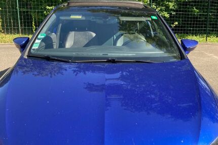 Seat Leon 165.000 km 13.300 € Baden-Baden 76530