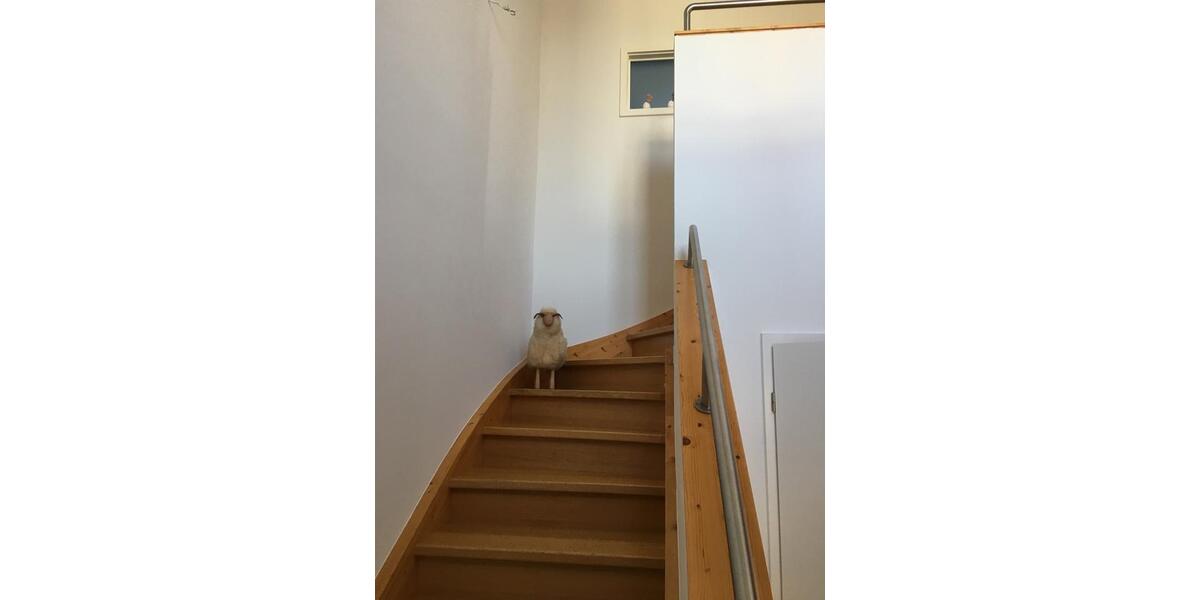 Einfamilienhaus Malsch - 5 Zimmer, 155 m&sup2;, 685.000&euro; | Angebot:27098159