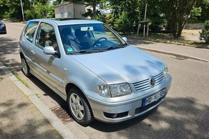 VW Polo