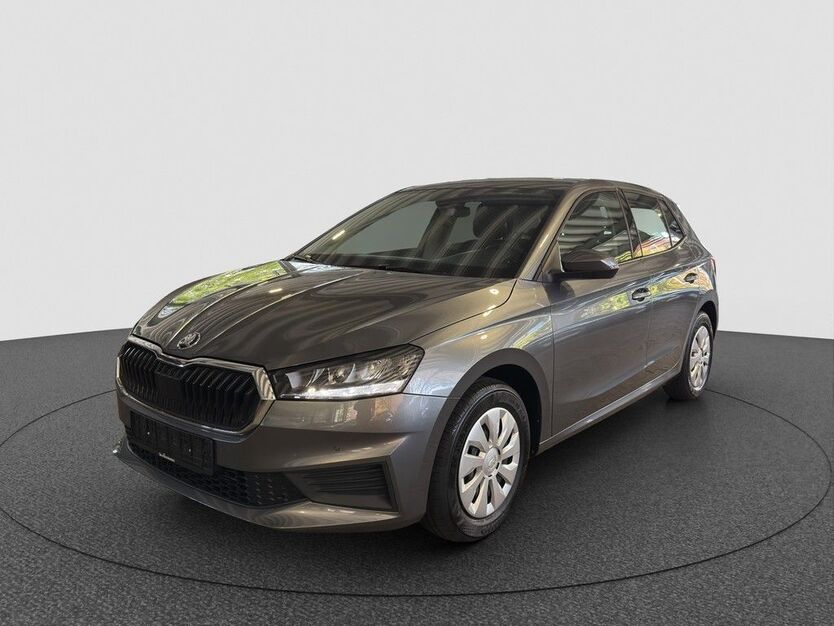 Skoda Fabia 29.467 km 19.890 € Karlsruhe 76131