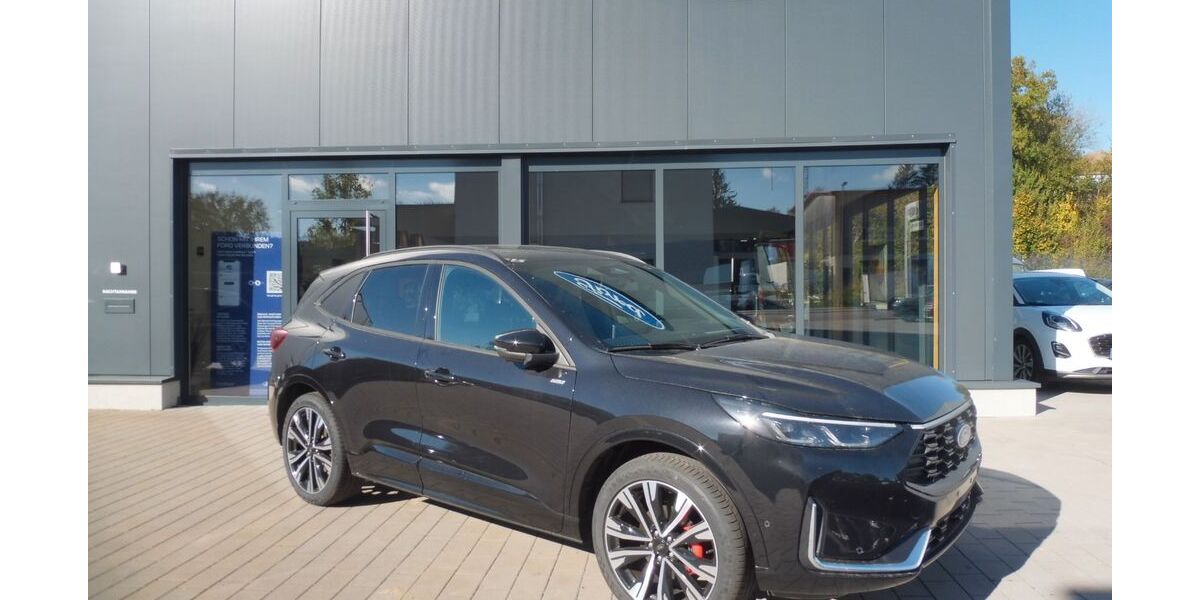 Ford Kuga 2.000 km 41.100 &euro; Walzbachtal 75045