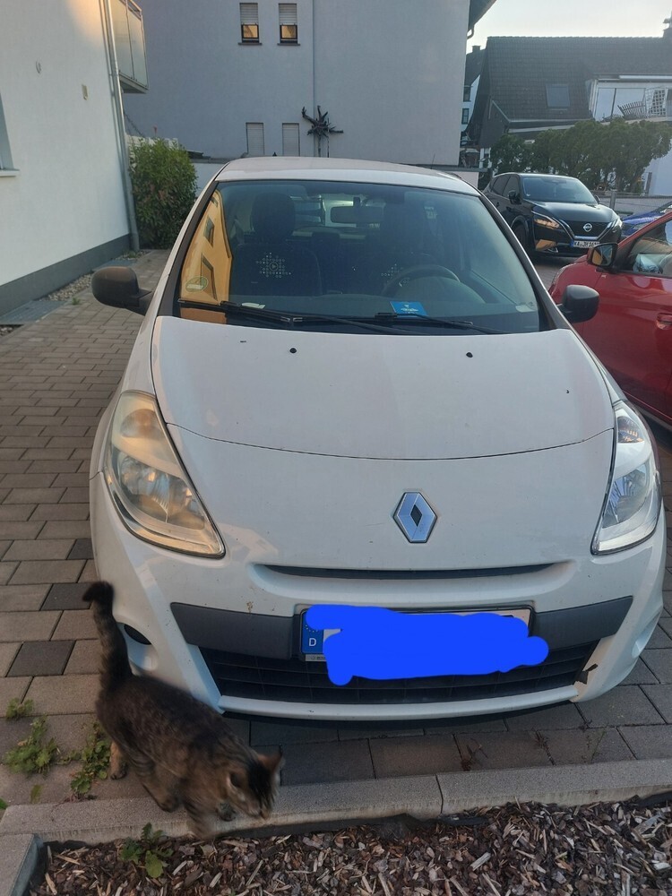 Clio