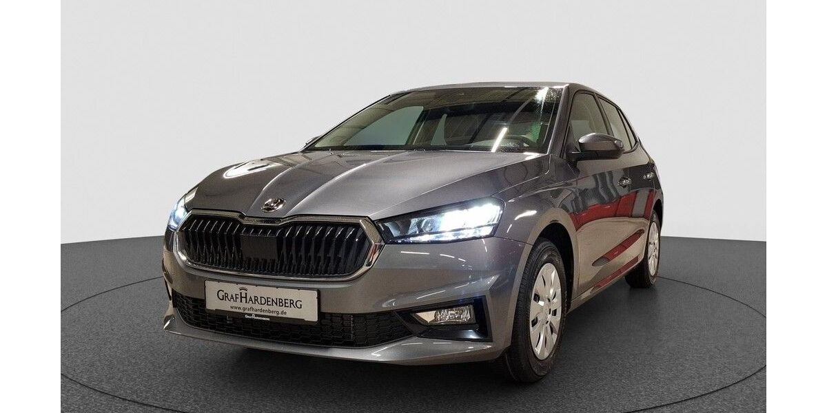 Skoda Fabia 8.000 km 19.290 &euro; Karlsruhe 76131