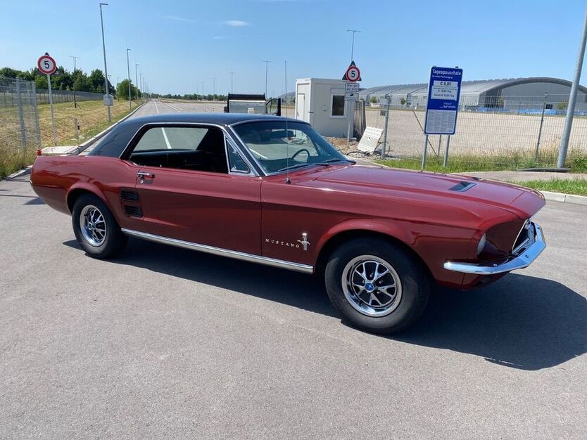 Mustang