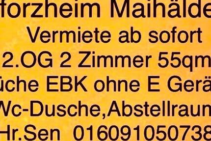 Wohnung Pforzheim Brötzingen - 1 Zimmer, 55 m&sup2;, 550&euro; | Angebot:26273661