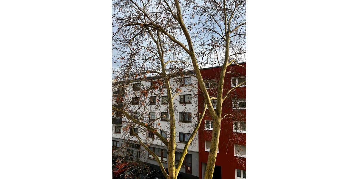 Etagenwohnung Pforzheim Weststadt - 2 Zimmer, 58 m&sup2;, 150.000&euro; | Angebot:24863814