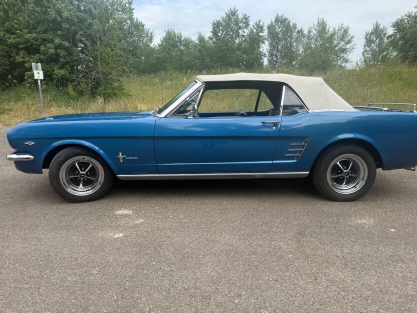 Mustang