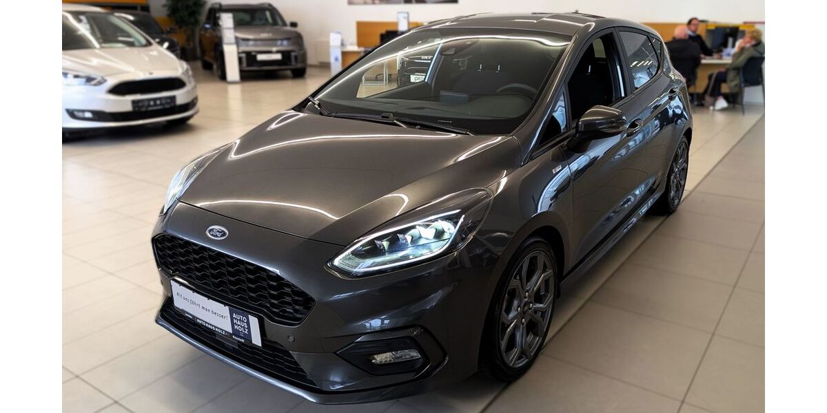 Ford Fiesta 33.000 km 16.690 &euro; Landau 76829