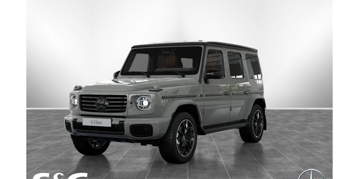 Mercedes-Benz G 450 10.000 km 176.190 &euro; Karlsruhe 76185