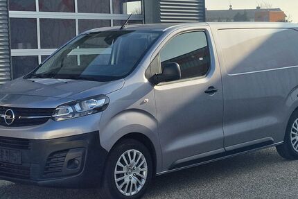 Opel Vivaro 99.500 km 19.998 &euro; Landau 76829