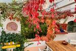 Einfamilienhaus Berg (Pfalz) - 7 Zimmer, 246 m&sup2;, 639.000&euro; | Angebot:26725548