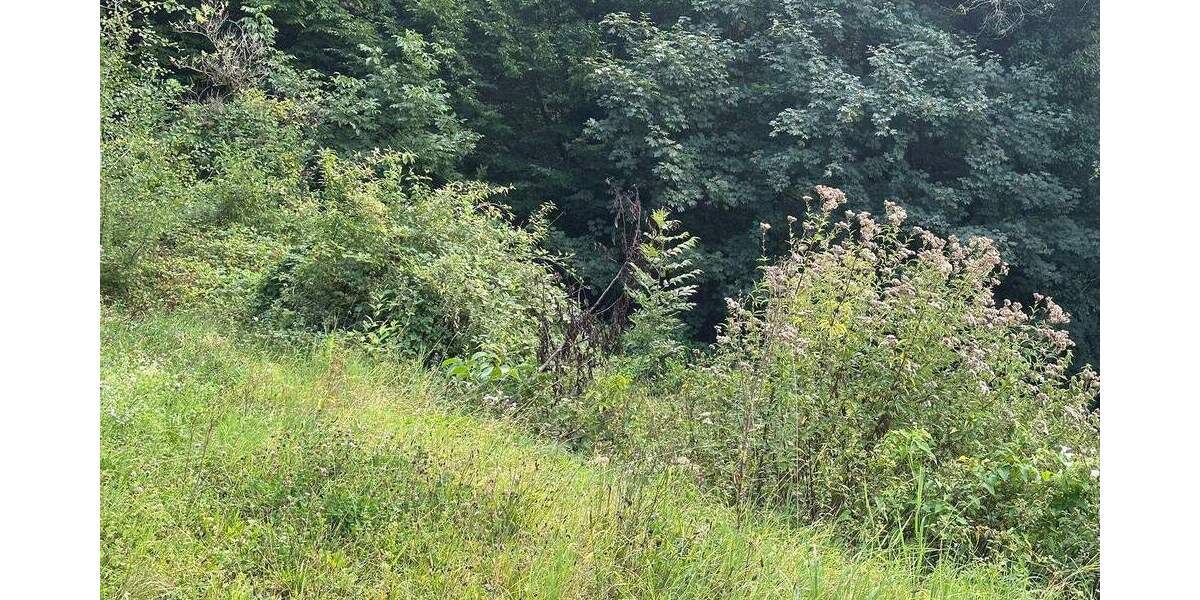 Grundstück Gaggenau Winkel - 165.000&euro; | Angebot:25671496