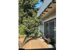 Einfamilienhaus Rheinzabern - 13 Zimmer, 340 m&sup2;, 870.000&euro; | Angebot:27234671