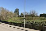 BAUPLATZ FÜR EIN MEHRFAMILIENHAUS IN RANDLAGE - Grundstück Walzbachtal | Angebot:27288942