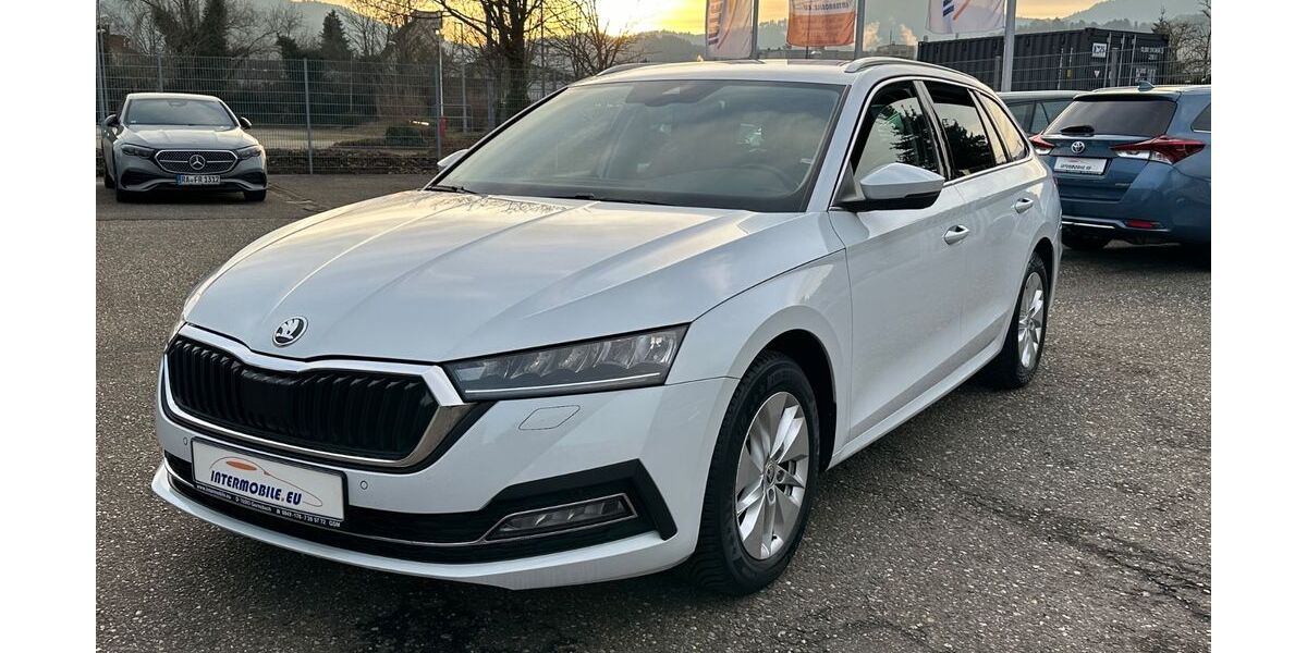 Skoda Octavia 169.093 km 13.090 &euro; Gernsbach 76593